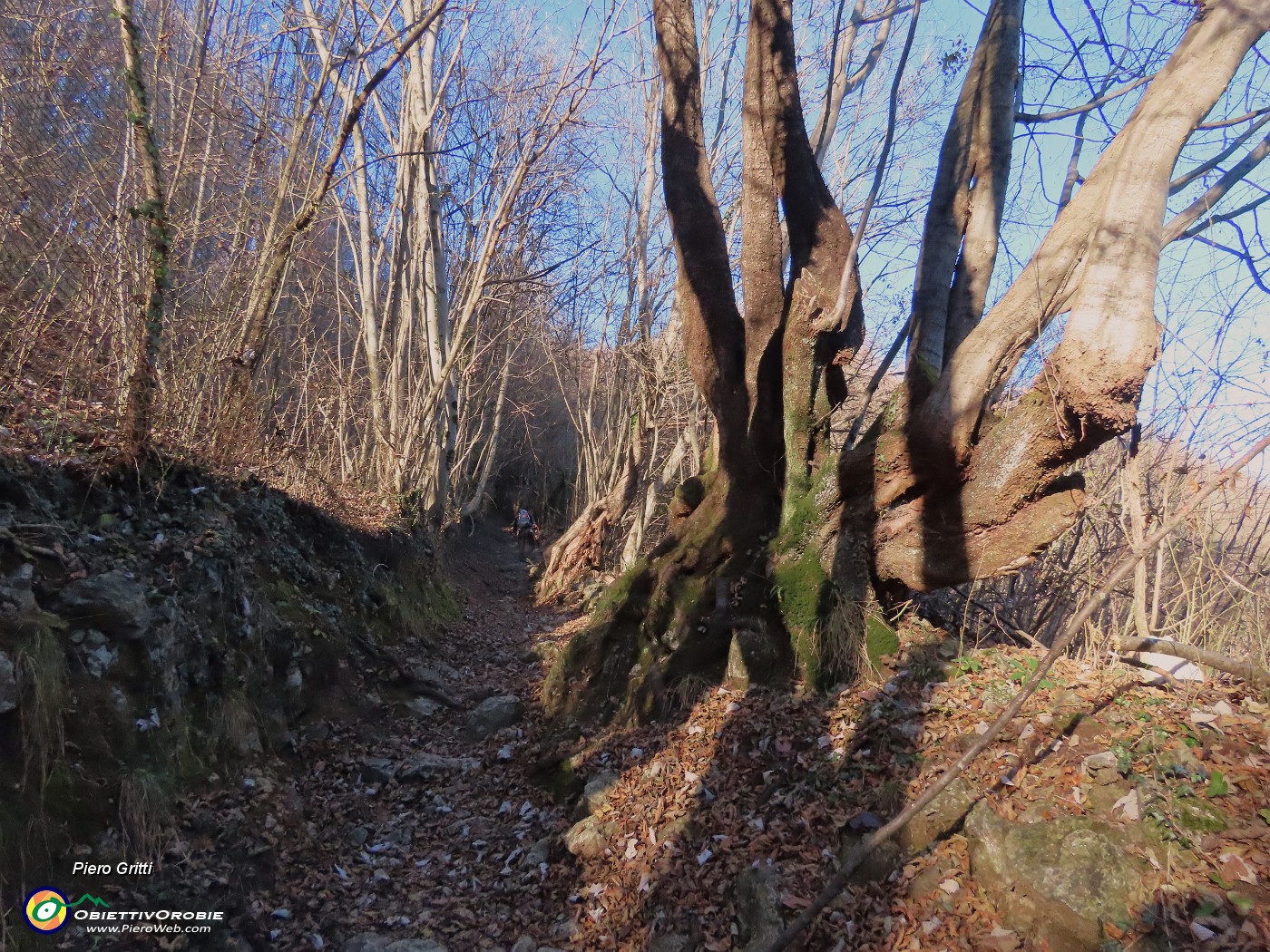 27 Sentiero incuneato nel bosco.JPG